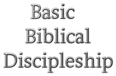 Basic Biblical Discipleship 2